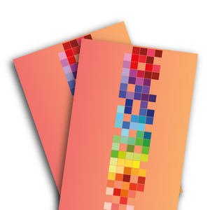 Premium Half Flyers